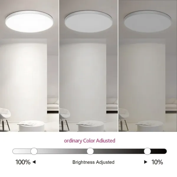 RGBW Oyster Lights, supplied example 5