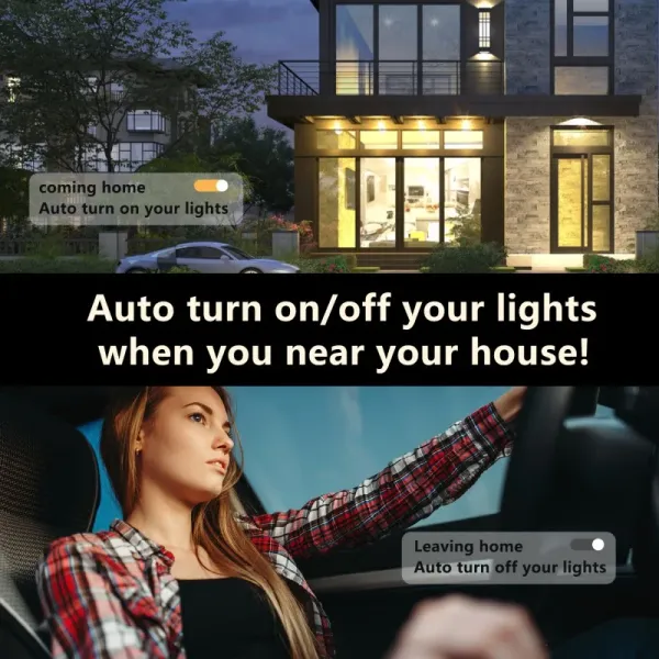 RGBW Oyster Lights, supplied example 2